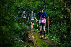 BIB: 
                            <button type="button" onclick="openModal(18923034)" class="btn btn-primary btn-sm float-right btn-popup" data-toggle="modal" data-target=".modal-high-quality">
                        <i class="fas fa-shopping-cart"></i> Add to Cart
                    </button>
                                            <button type="button" onclick="isThisMe(18923034, true)" class="btn btn-success btn-sm float-right btn-popup btn-isme hidden" data-toggle="tooltip" data-placement="bottom" title="นี่คือรูปของคุณใช่ไหม คลิกที่นี่เพื่อเอาเข้าอัลบั้ม">
                        <i class="fas fa-plus"></i> Add to album
                    </button>
                    <button type="button" onclick="isThisMe(18923034, false)" class="btn btn-warning btn-sm float-right btn-popup btn-isnotme hidden">
                        <i class="fas fa-ban"></i> Remove from album
                    </button>